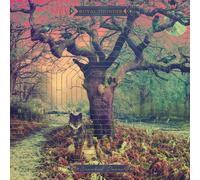 Royal Thunder Crooked Doors (Vinyl LP)
