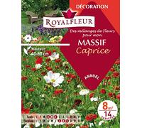 Royalfleur PFRE08697 - Semi di Fiori Mon Massiccio Caprice, 8 m2