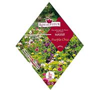 Royalfleur PFRK21442 - Semi di Fiori in massello, 3 m2, Colore: Viola