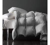 Royoliving, Piumone in piuma d'oca per letto king size per tutte le stagioni, rivestimento in 100% cotone egiziano, con inserto con angoli, 1700 g, colore: grigio