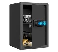 RPNB Cassaforte biometrica, touchpad retroilluminato, piccola cassaforte per la casa con porta USB-C di emergenza, spia luminosa, cassaforte in lega di acciaio per denaro e gioielli, 51L