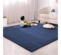 Rr tianshi Grande Tappeto Corallo in Velluto per Gioco, Spesso Tappeto per Studio, Cucina, Cameretta dei Bambini, Antiscivolo per Yoga, Letto (80x150cm, Navy)