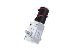 RRBXXUYN Worm Gear Reduction DC Electronic Starter 5840-31zy Double Short Output Shaft with Self-Locking Full Metal Gear 260RPM_12V