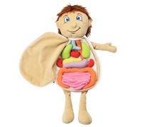 Rrlihjgu Bambola di anatomia per bambini,Giocattoli di del corpo umano di apprendimento precoce in - Strumenti di insegnamento della consapevolezza 'organo del corpo Giocattoli di peluche