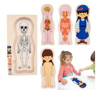 Rrlihjgu Puzzle Struttura del corpo umano,Puzzle in legno del corpo umano - Puzzle educativi del corpo di anatomia umana | Anatomia apprendimento Puzzle Scheletro