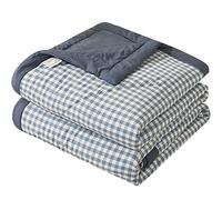 RRNAR Piumino Estivo Letto Matrimoniale Piumone Leggero Coperta Trapunta Sottile in 100% Cotone Lavato Anallergico, Lavabile in Lavatrice,F,200x230cm