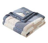 RRNAR Piumino Estivo Letto Matrimoniale Piumone Leggero Coperta Trapunta Sottile in 100% Cotone Lavato Anallergico, Lavabile in Lavatrice,B,180x220cm