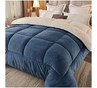 RRNAR Piumino Matrimoniale Invernale Caldo Piumone, Trapunta Invernale in Lana di Agnello, Coperta Matrimoniale Queen Size Singola Doppia Cashmere, Lavabile in Lavatrice,D,220x240cm(5kg)