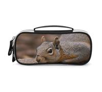 Rrtsmsgh Astuccio per matite con scoiattolo che giace di grande capacità, piccola borsa per il trucco in pelle PU con cerniera e manico, astuccio portatile per ufficio e cosmetici