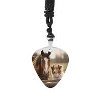 Rrtsmsgh Collie Dog and Horse Together - Collana con plettro per chitarra, unisex, in acciaio al titanio, regalo per amanti della musica, per chitarristi, musicisti, fan del rock