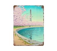 RRTYVFD Cartelli in metallo vintage con il Monumento a Washington per garage e taverne - Poster retrò di auto, petrolio e gas - Decorazione da bar 15,7" x11,8 - Resistenti e facili da appendere