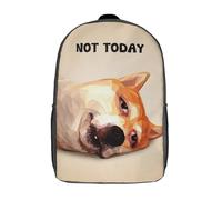 RRTYVFD Zaino per la scuola con stampa 3D Tiger King per ragazzi e ragazze, zaino casual alla moda per scuola o viaggio, Non oggi, 43 cm