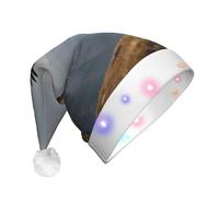 rrxnbcgg The flight of the golden eagle - Cappello natalizio con LED lampeggiante, con morbida pelliccia sintetica e pompon, copricapo per feste di Natale e pranzi al pub