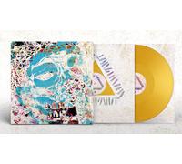RSD21 Warpaint Fool / Andrew Weatherall Remix Sigillato Record Store Day Vinile