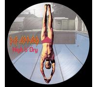 DEF LEPPARD - High 'N' Dry (RSD 2022) LP picture vinyl