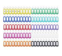Rseuphiee 100 Pezzi Portachiavi, Targhette Portachiavi Plastica Scrivibile, Porta Chiavi con 10 Colori Assortiti, con Portachiavi Anelli Divisi, Per Chiavi, Animali Domestici, Bagagli