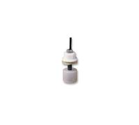 RSF54Y100RC Interruttore A Galleggiante Cynergy3, Verticale