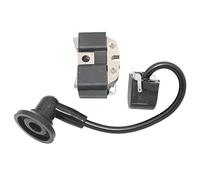 RSIGAVEK Bobina di accensione Elettronica for 820 830 920 930
