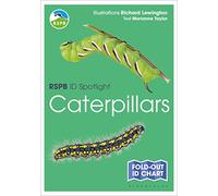RSPB ID Spotlight - Caterpillars