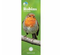 Rspb Robins Slim Calendar 2026