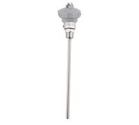 RTD PT100 Sensore di Temperatura Termica Impermeabile in Acciaio Inossidabile 1/2 "Pollici con Filo di Isolamento Filo di Piombo NPT Termocoppia Terminale Testa(PT 200mm))