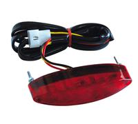 Rtech LED Luce Posteriore Adatta Per Devil Supporto Targa