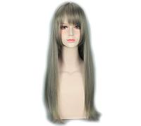 RTGFS Moda a buon mercato Mix Grigio Lungo rettilineo Harajuku Lolita Parrucche per le donne Anime Cosplay Parrucca da festa di Halloween con Bang PL-108
