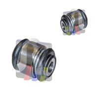 RTS 2x Giunto di Supporto Guida Posteriore Sinistra Destra per Peugeot 406 8B 8E