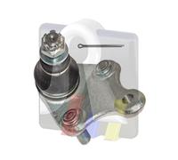 RTS Giunto Sferico Frontale Entrambi i Lati Inferiore per Toyota Auris Rav 4 IV