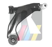 RTS Manubrio Con Braccio Oscillante Sospensione ruota ant. dx inferiore