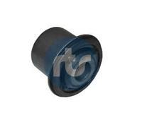 RTS Supporto Braccio oscillante 017-00027 per DACIA DUSTER DUSTER Kasten