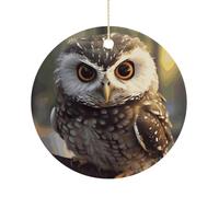 RTSEBVN Cerchio di Natale Personalizzato Simpatico Gufo Stampa Ornamento di Natale Artigianato In Ceramica Decorazioni Da Appendere Per La Decorazione di
