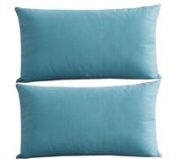 RTSFKFS Federe Cuscini Letto Matrimoniale 60x80/50x70 cm,Set 2 Federe con Invisibile Cerniera, Copricuscini Divano Camera da Letto Federa Cuscino Copricuscino Velluto(R,60x80cm Set of 2)