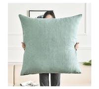 RTSFKFS Fodere per Cuscini 80x80 Quadrato Copricuscini Divano Federa Cuscino 50x50 Copri Cuscino Letto Decorazione Fodere Cuscini 60x60 Extra Large Sofa Pillow Covers(Lago Blu,80x80cm 1pc)