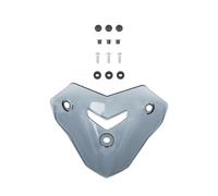 RTSMD Parabrezza Per Moto, Deflettori Antivento, Protezione Per BMW F900R F900 R 2020-2024, Parabrezza Anteriore, Visiera Cupolino Parabrezza(Colore 5)