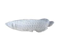 RUAJOGYNVM Selenite Arowana Fish Sculpture - 4.92×1.18in / 12.5×3cm Hand-Carved Crystal Ornament for Cleansing & Home Décor