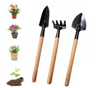 Ruayia Set di attrezzi da giardino, 3 pezzi, mini attrezzi da giardino, paletta da giardino, manico in legno, pala maneggevole, piccola pala per attrezzi bonsai, pianta fiori in vaso, terreno sciolto