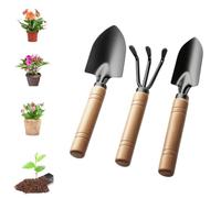 Ruayia Set di attrezzi da giardino, 3 pezzi, mini attrezzi da giardino, paletta da giardino, manico in legno, pala maneggevole, piccola pala per attrezzi bonsai, pianta fiori in vaso, terreno sciolto