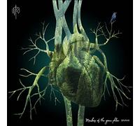 Martin Rubashov Members of the Green Phlox (Vinyl LP) 12" Album