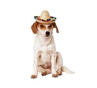 Rubie´s Costume Ufficiale Sombrero Pet Dog