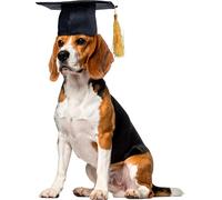 Rubies Black Graduation Hat Pet Accessory Set di Accessori per Costume da Animale, Poliestere, Nero, M-L