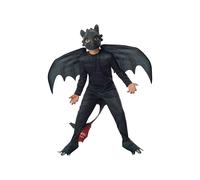 Rubie's DreamWorks - Costume ufficiale per bambini How to Train Your Dragon 2 Ni