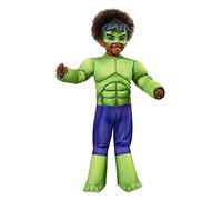 Rubie's Marvel: Spidey And His Amazing Friends Hulk Deluxe Costume Costume Hulk