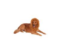 Rubie's Official Lion's Mane Dog Pet Costume, One Size