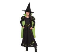 Rubie's Official The Wizard of Oz The Wicked Witch of the West Childs Costume, K