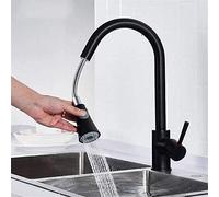 Rubinetti da cucina Rubinetto Ottone Nero opaco for lavello estraibili con una sola mano Spruzzatore Due opzioni Beccuccio Cucina Acqua calda e fredda