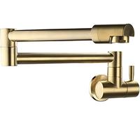 Rubinetto a filler in oro spazzolato - rubinetto della cucina ad acqua fredda singola fredda, rubinetto del lavello a montaggio a parete commerciale con bracci a oscillazione a doppia articolazione