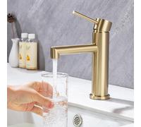 Rubinetto Bagno Lavabo, Miscelatore Monocomando per Lavabo in Acciaio Inox 304,