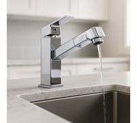 Rubinetto Cucina Bagno a Getto Diretto con Doccetta Estraibile Argento Lavabi