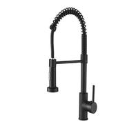 Rubinetto Cucina - Da Con Doccetta Estraibile, Miscelatore Lavello Girevole A 360°, Rubinetti Monocomando A 2 Modalità, Raccordi Standard